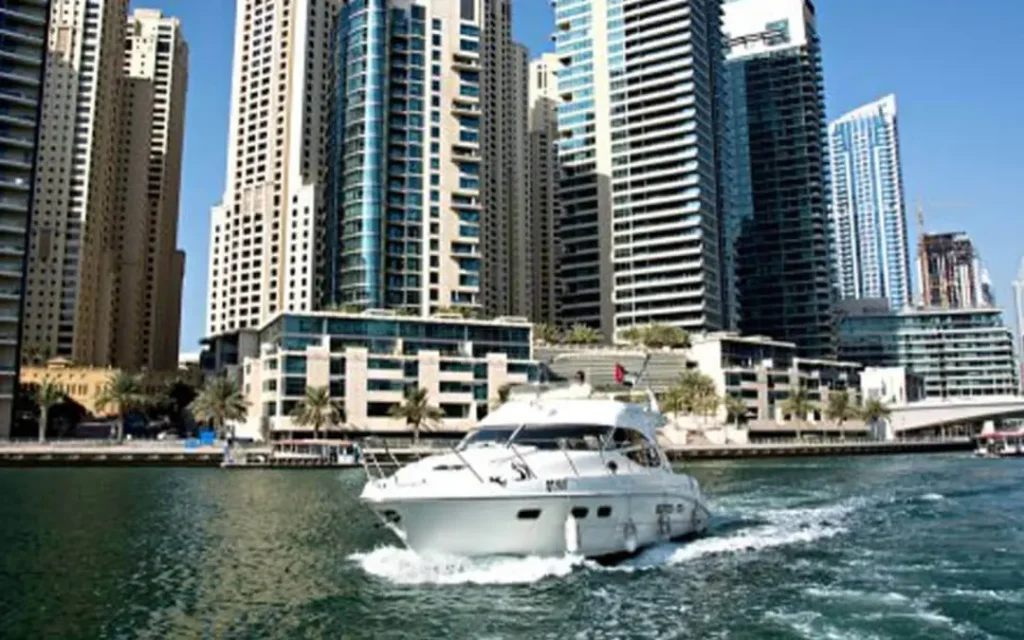 45_sealine_1542262925675