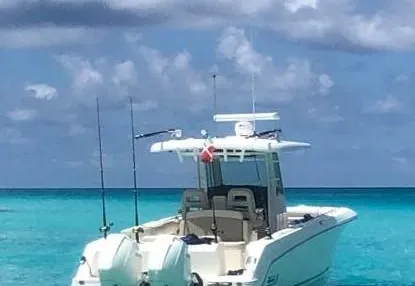 8258758_20220908102716130_1_XLARGE