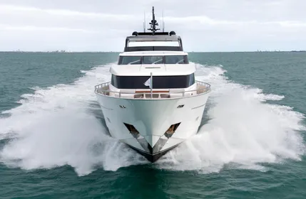 9231754_20240213072333933_1_XLARGE